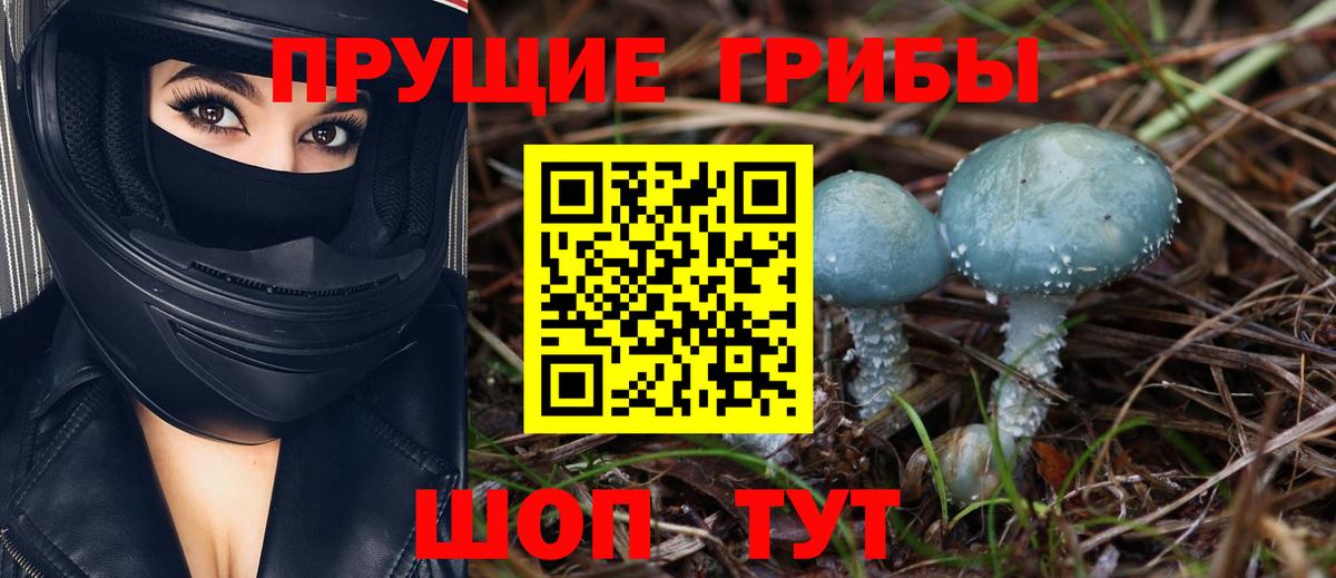 Галлюциногенные грибы мухоморы Десногорск